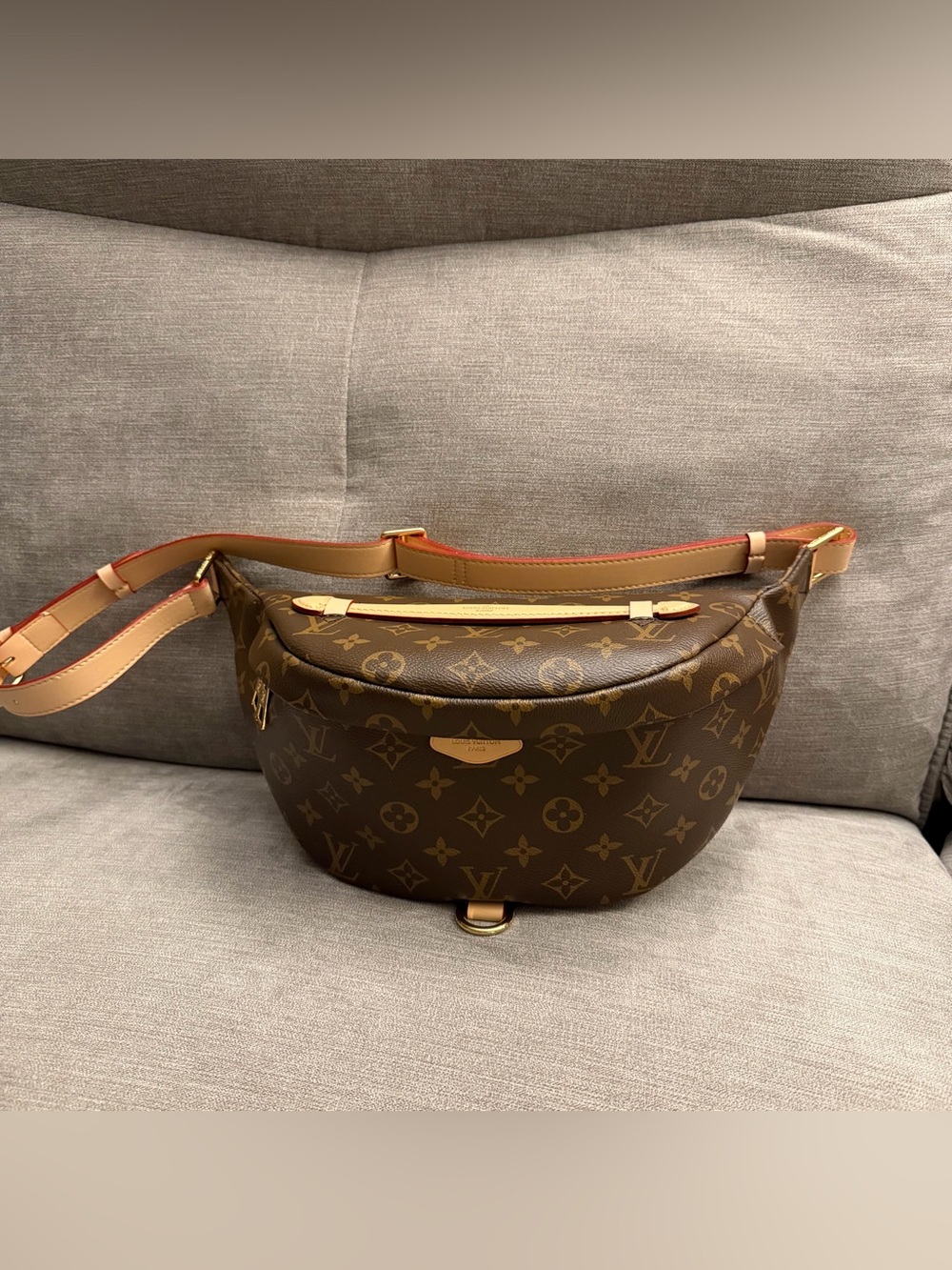 Louis Vuitton Monogram Crossbody Bag